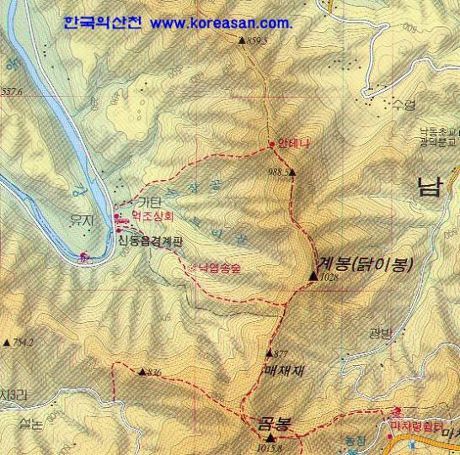 닭이봉 이미지