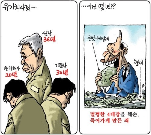 11-13 이미지