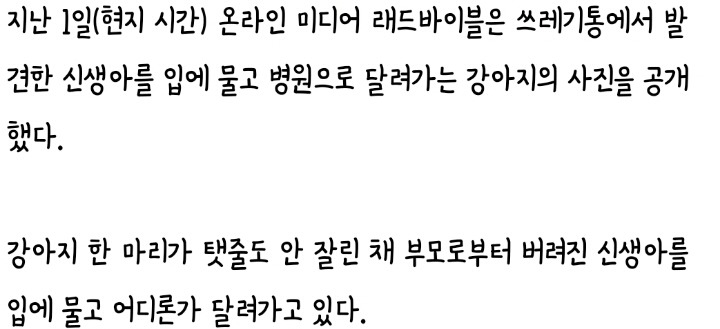 쓰레기통서 발견한 신생아 병원 데려간 유기견 (사진조금놀랄수도) | 인스티즈