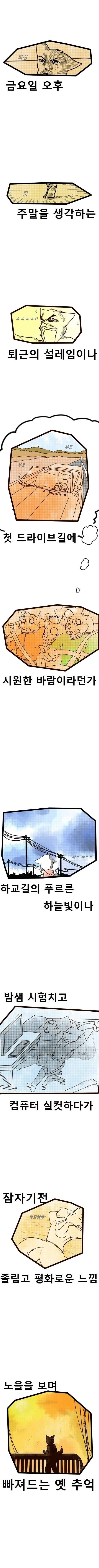 비행기는 날고있을때 보다 공항에서 더욱 떨린다....jpg | 인스티즈