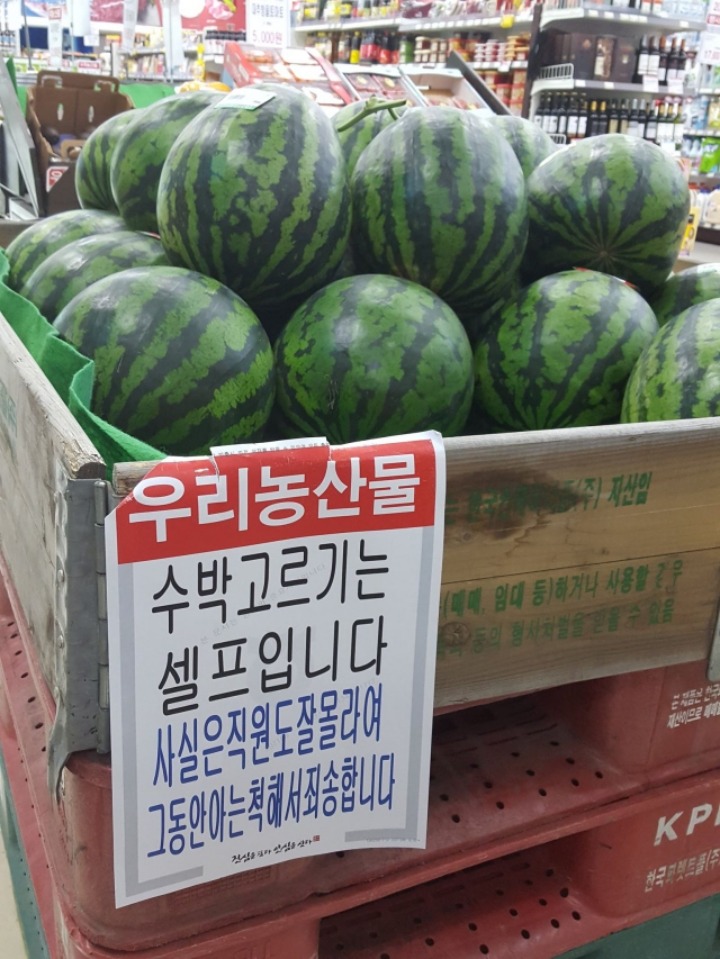 수박 고르는법 | 인스티즈