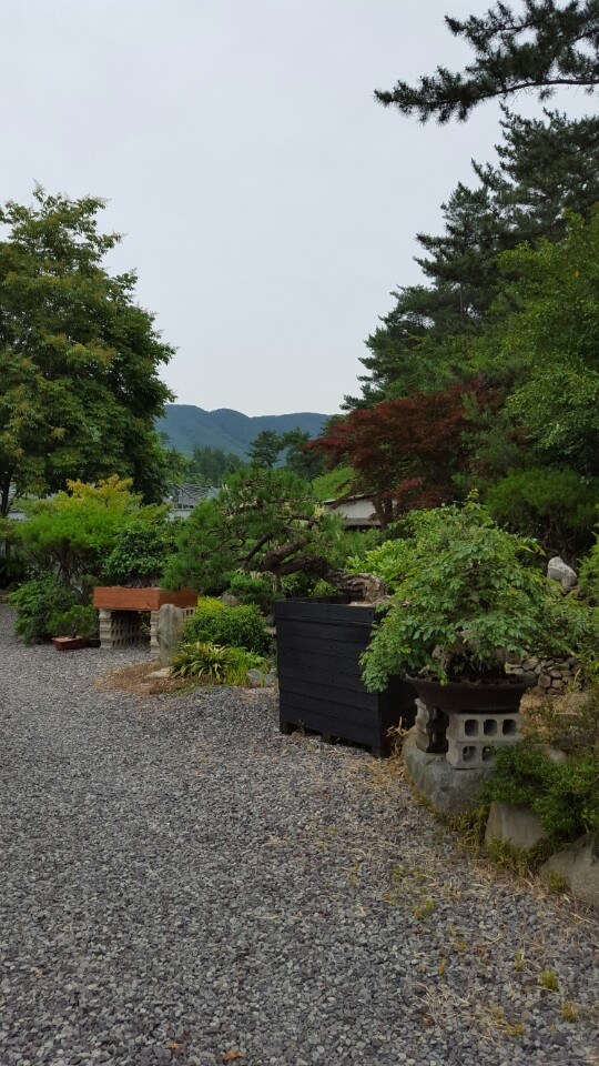 대야원 이미지