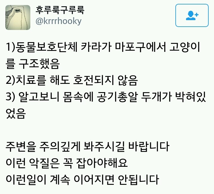 마포구 일대에서 고양이에게 총을 쏜 범인을 찾습니다 | 인스티즈