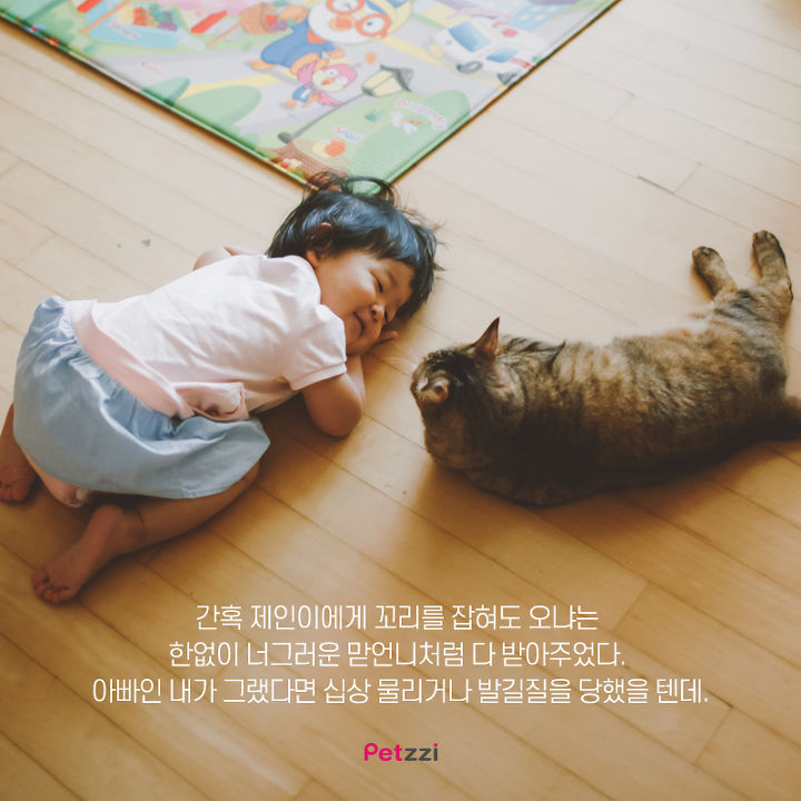 아기와 고양이의 교감 | 인스티즈