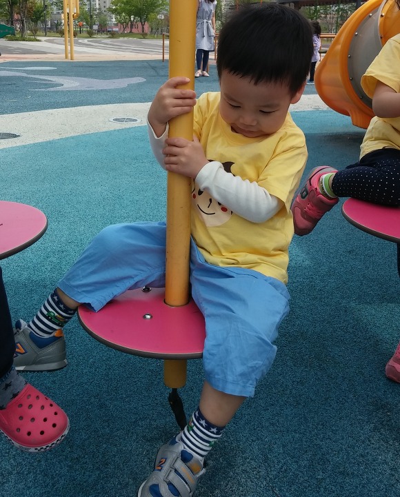 재원꽃게 이미지