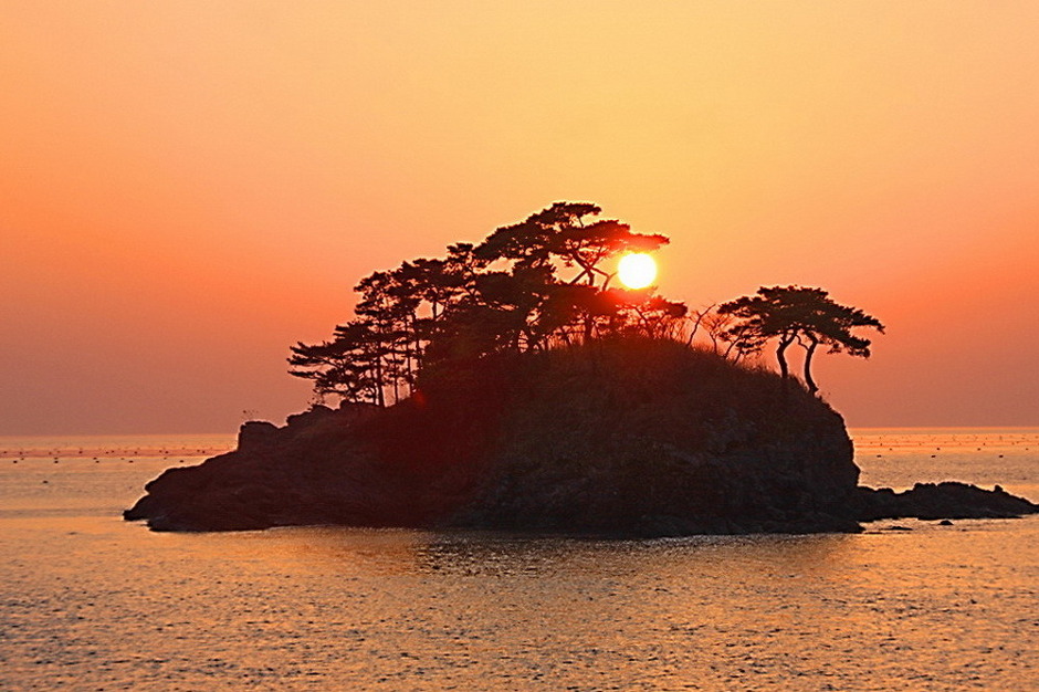 솔섬 이미지