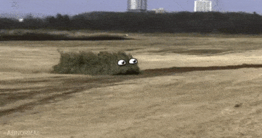 움짤에 표정 씌우기.gif | 인스티즈