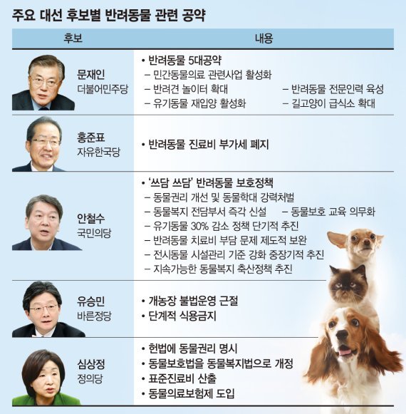 대선후보 동물 관련 공약 | 인스티즈
