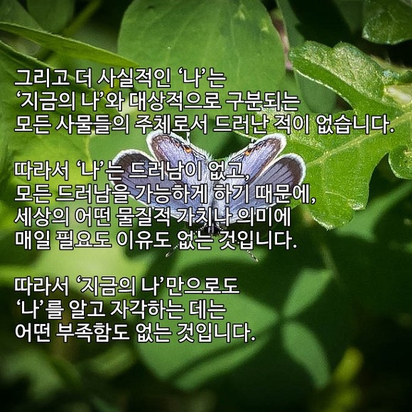 [통찰글] 나를 아는 것에 대한 질답 | 인스티즈