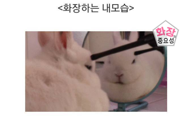 우리들의 화장이 매일 달라지는 이유 | 인스티즈