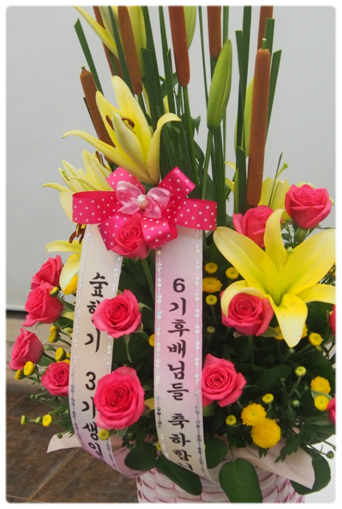 한국숲해설가협회 이미지
