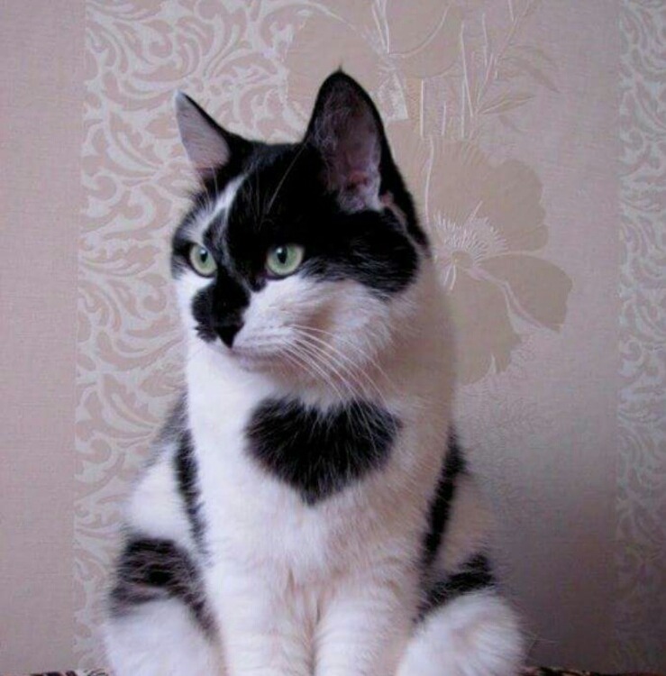 내안에 하트있당 | 인스티즈