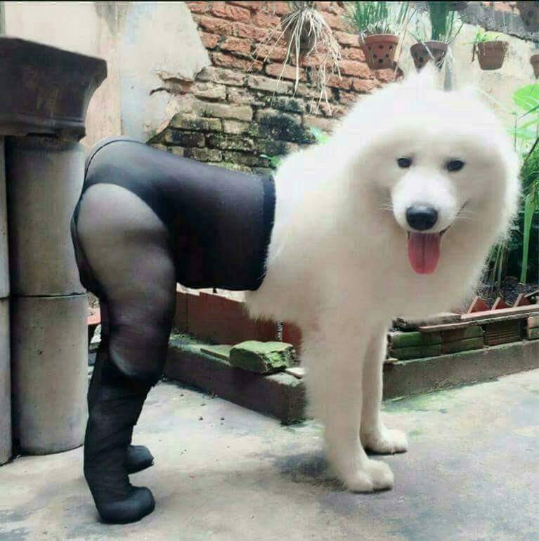 헐 이미지