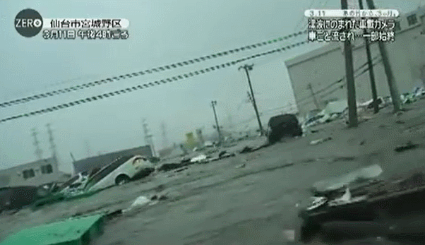차 안에서 맞이하는 쓰나미의 과정...... | 인스티즈