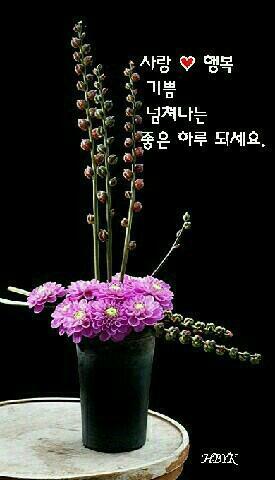 새암정 이미지