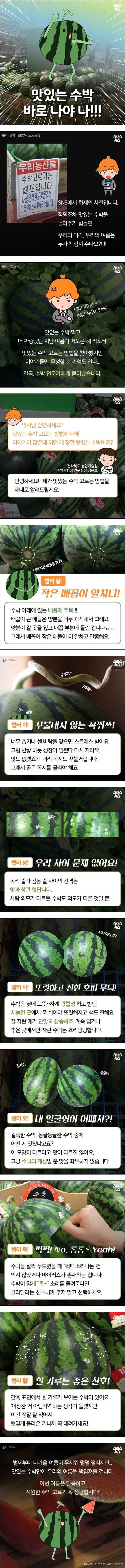 맛있는 수박 고르기 | 인스티즈