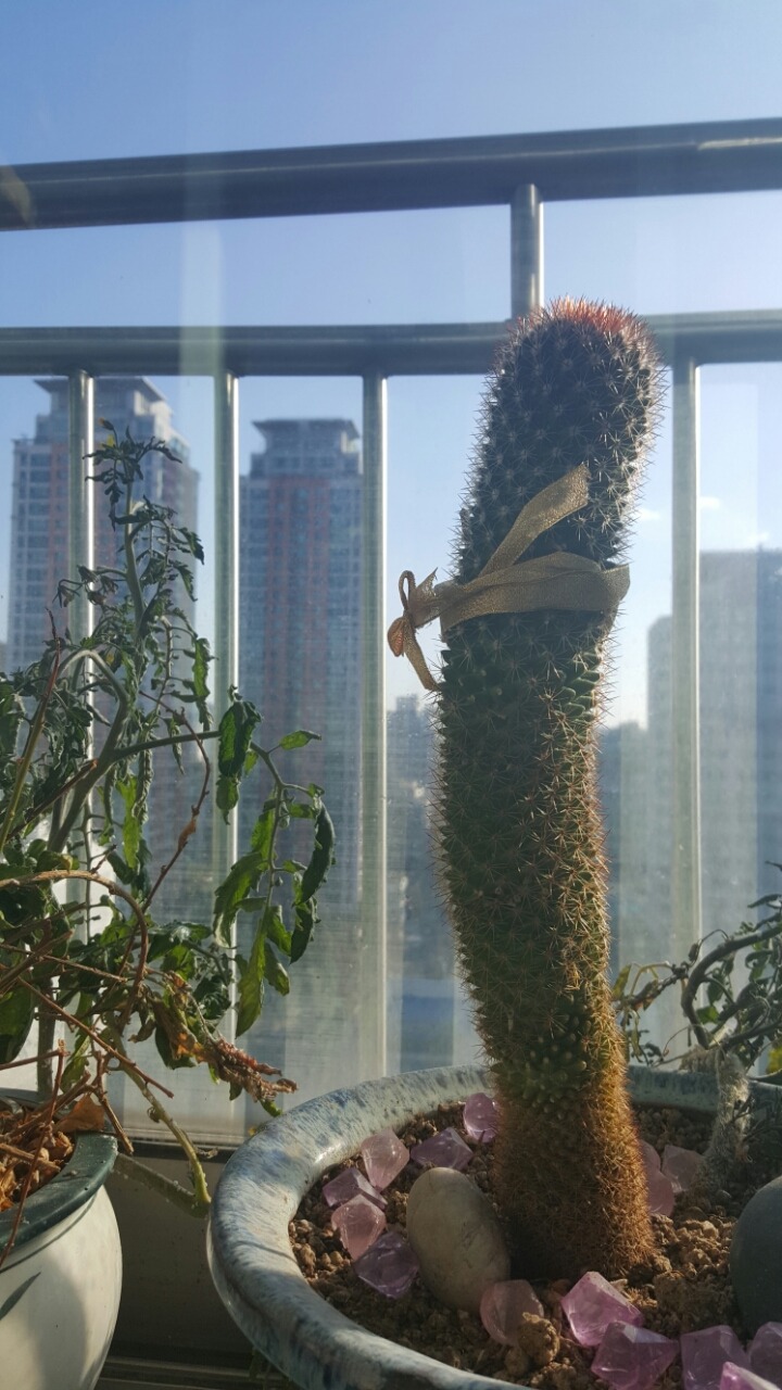 하얀하늘 이미지