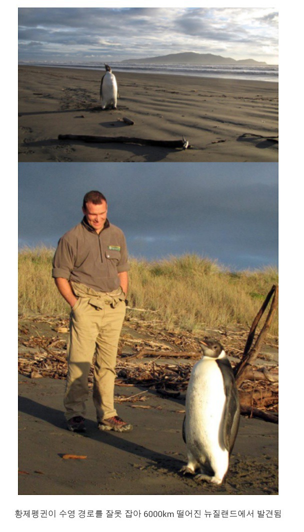 길치 레전드 | 인스티즈