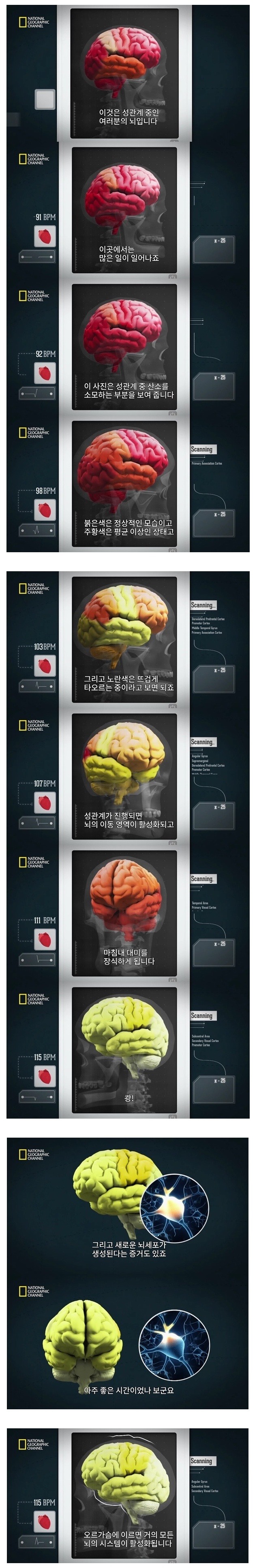 건강한 뇌를 유지하는법 | 인스티즈