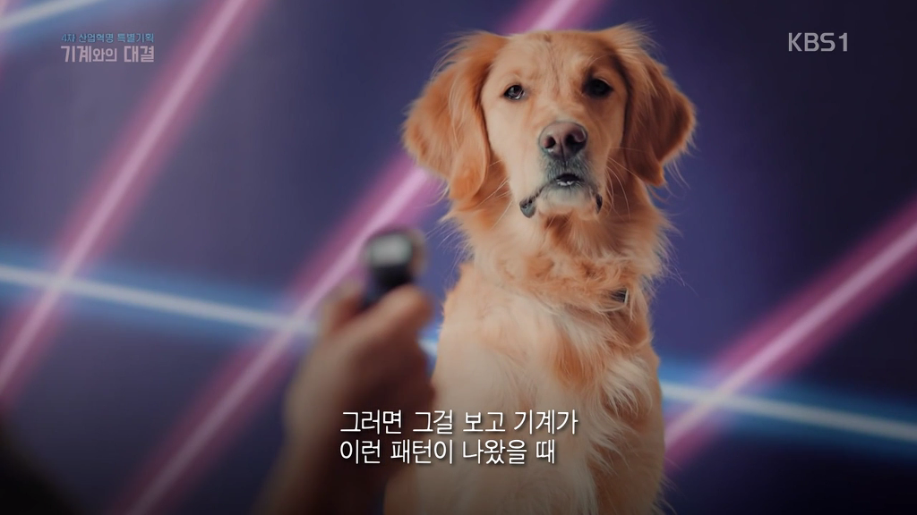 인공지능의 현실 | 인스티즈