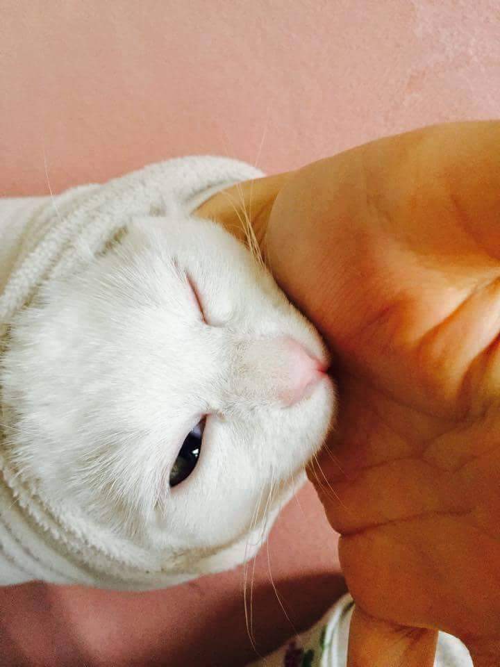 자다가 깼더니 살쪘..? | 인스티즈