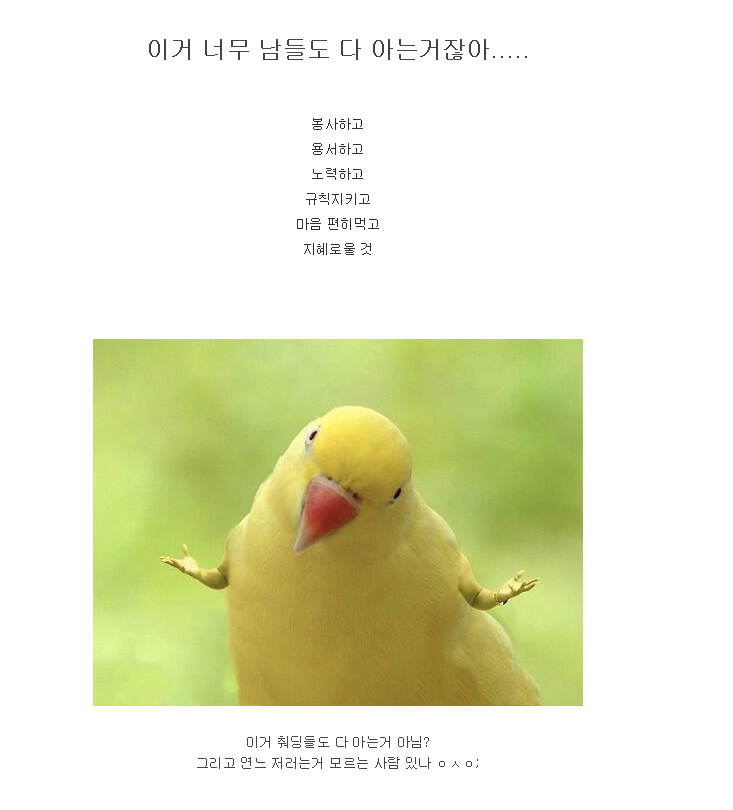 김연아가 생불인 이유.real (feat. 불교/모바일 데이터 주의) | 인스티즈