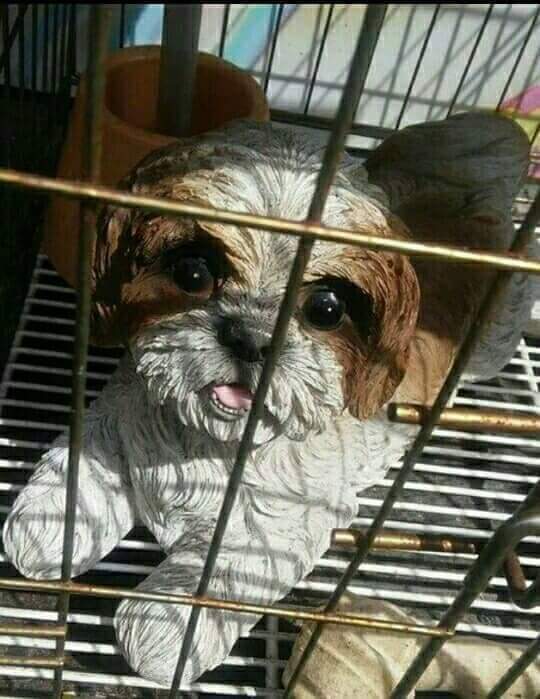 눈싸움 이기면 식사비 꽁짜 | 인스티즈