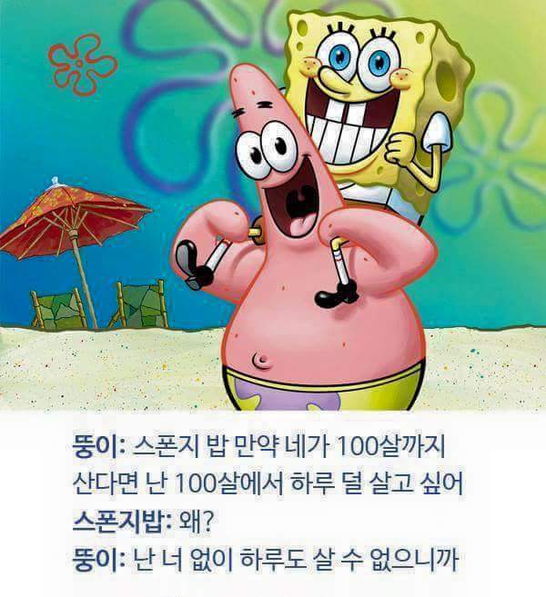 스펀지밥 뚱이의 명언들 | 인스티즈