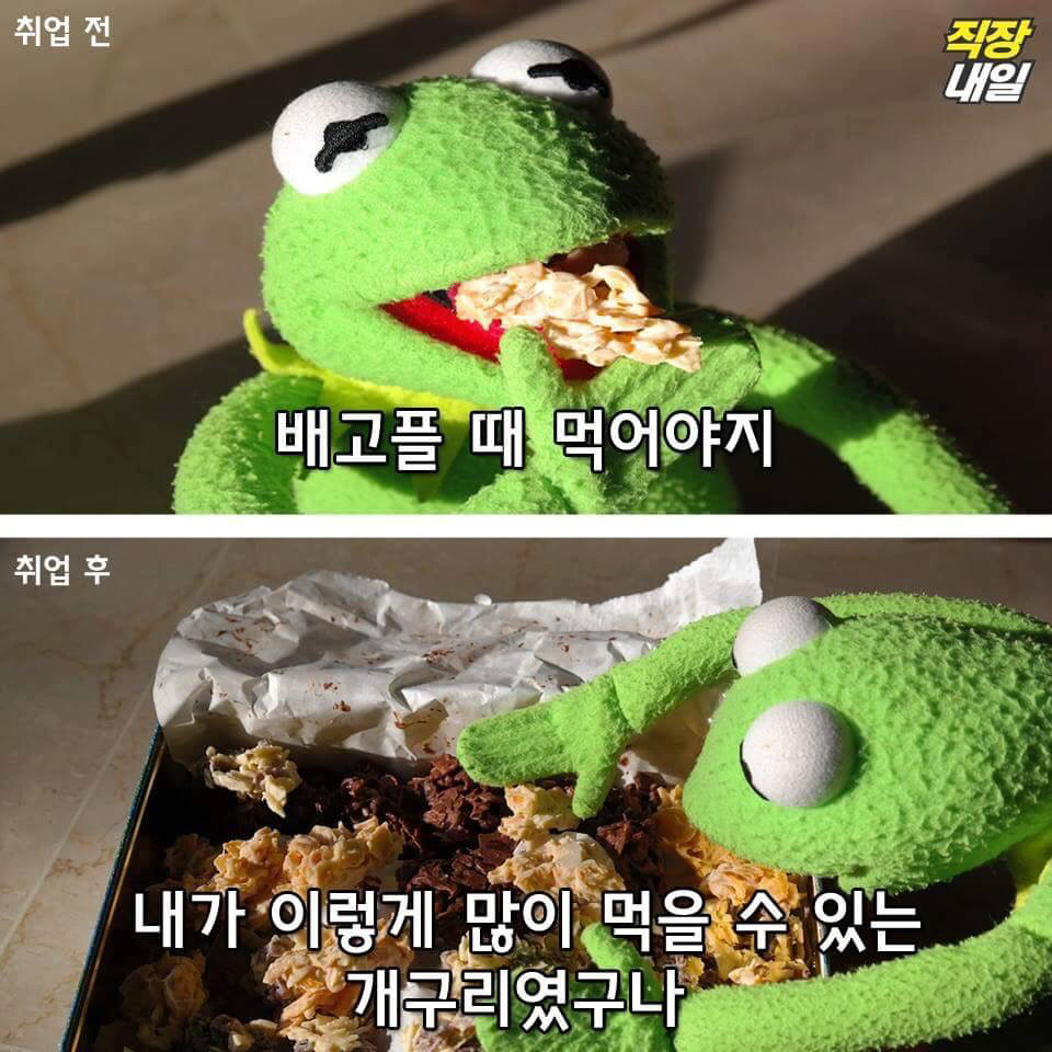 직장인이 되기 전과 후.jpg | 인스티즈