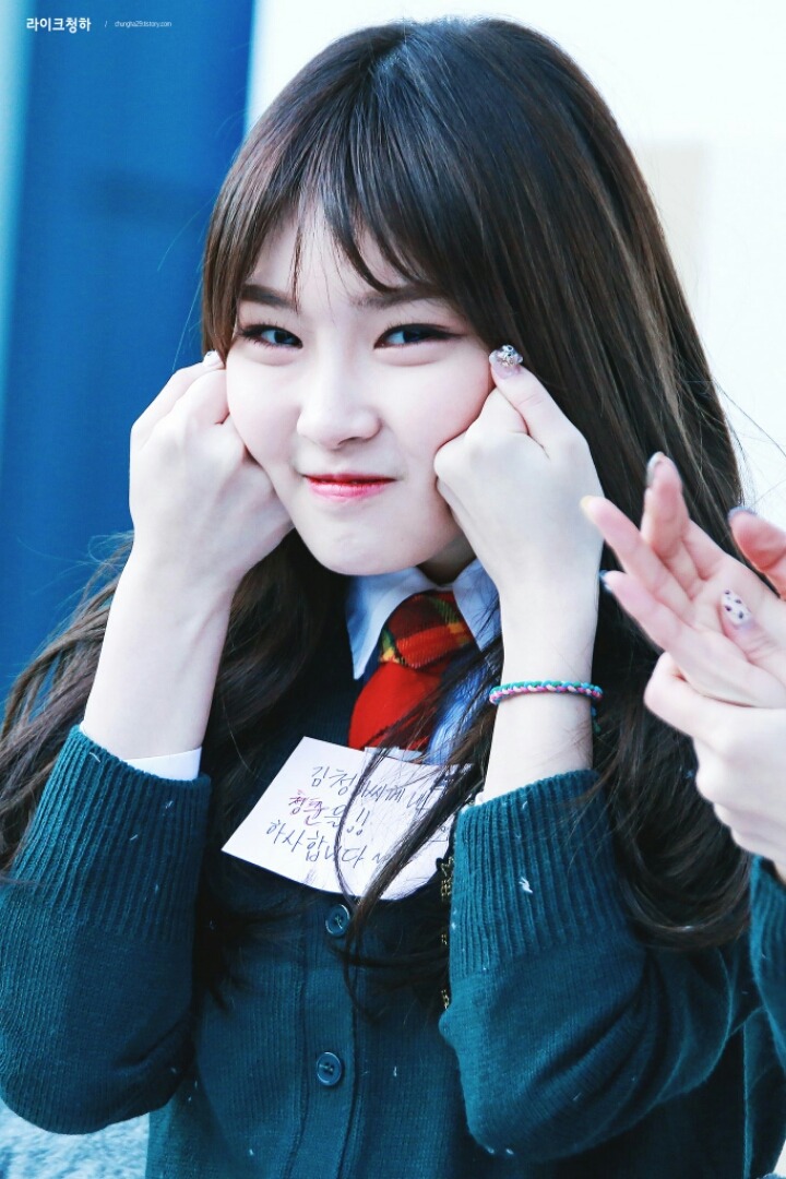 술시 이미지