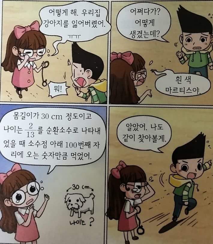 강아지를 잃어버렸어 어떡해 | 인스티즈