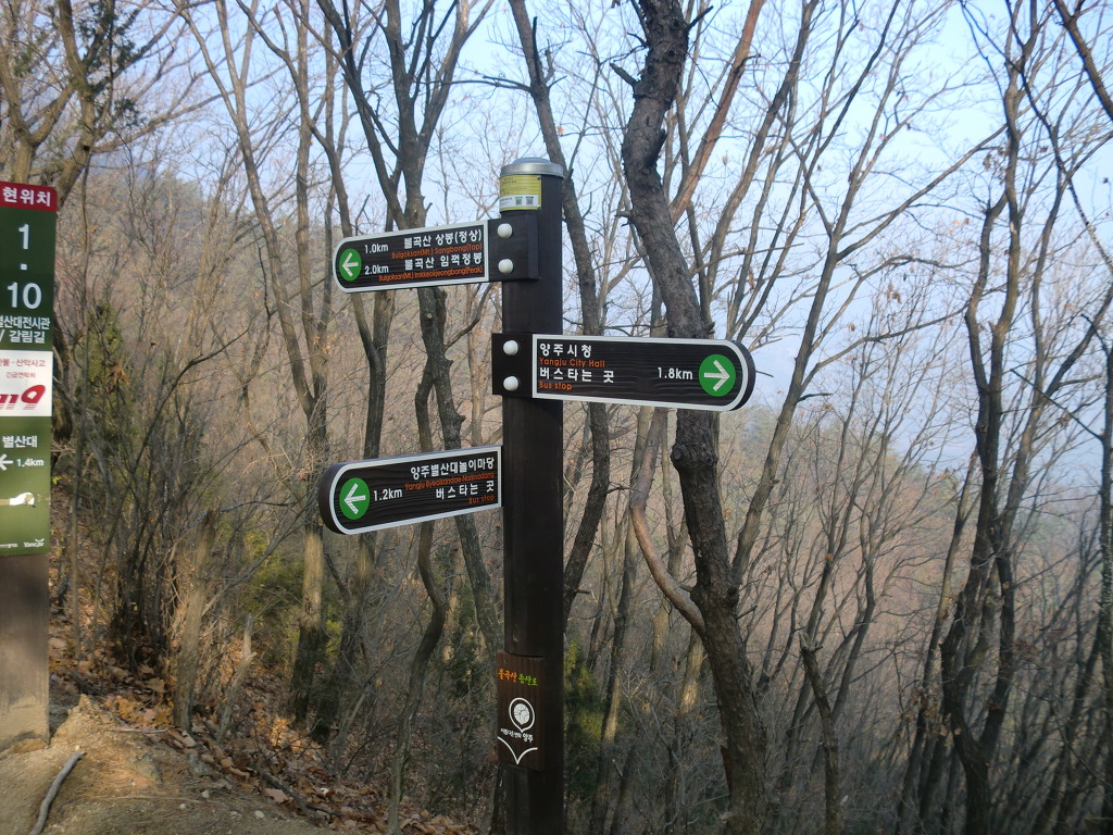 (유)영진관광 이미지