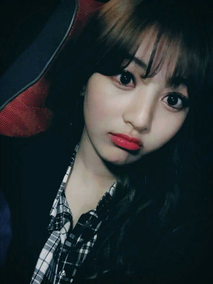 다님 이미지