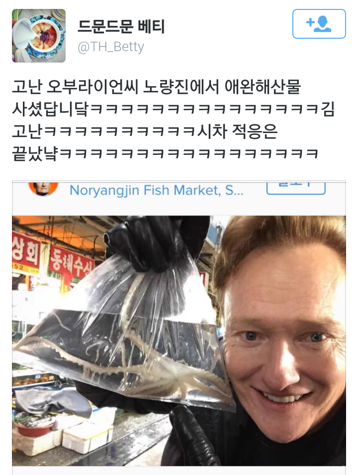 지금 막 올라온 고난 오부라이언 인스타 | 인스티즈