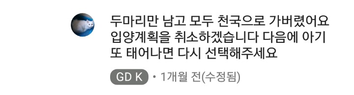 가정집 고양이공장같은 애니머호더 유튜버 봐줘라 | 인스티즈