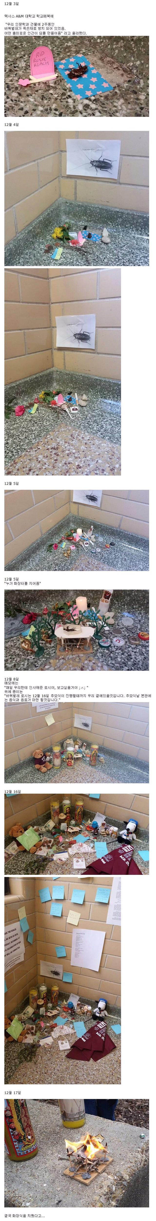 미국의 어느 장례식 (혐오주의) | 인스티즈