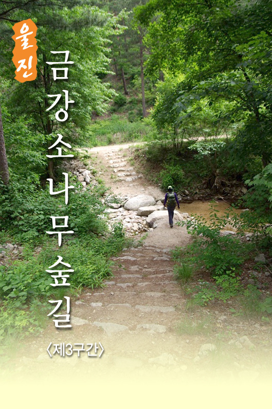 비엔나모텔 이미지