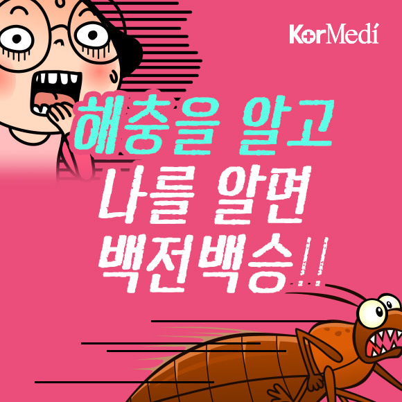 해충에 대한 오해와 진실(feat.바퀴)_약혐주의 | 인스티즈