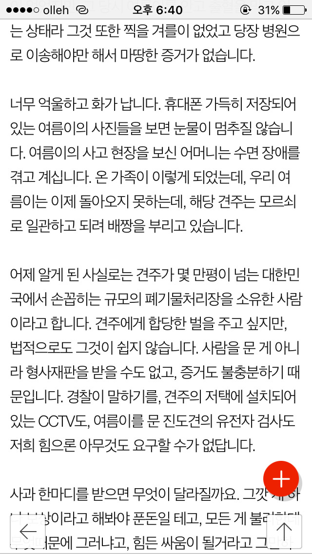저희 개가 (여름이) 다른 개에게 물려 죽었습니다...(사진) | 인스티즈
