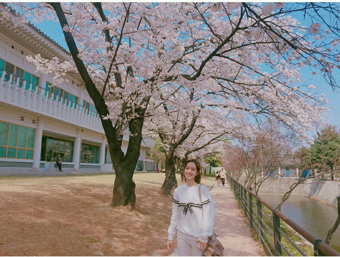 최근 진세연 인스타그램 | 인스티즈