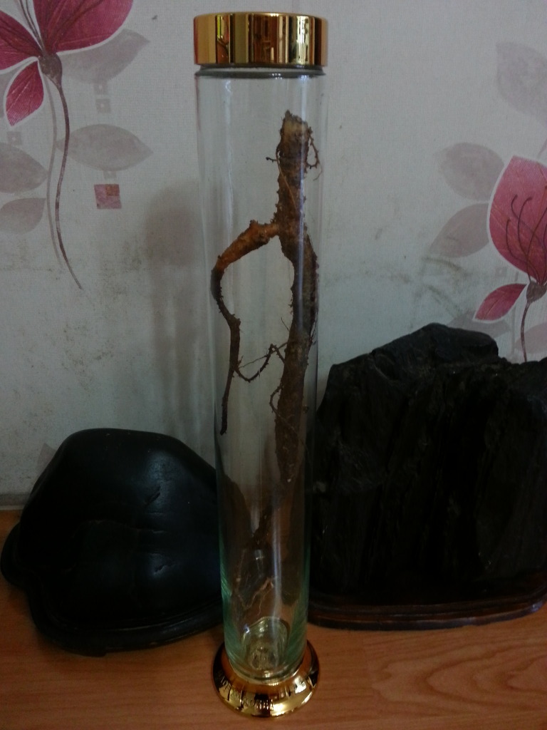 산삼애 이미지