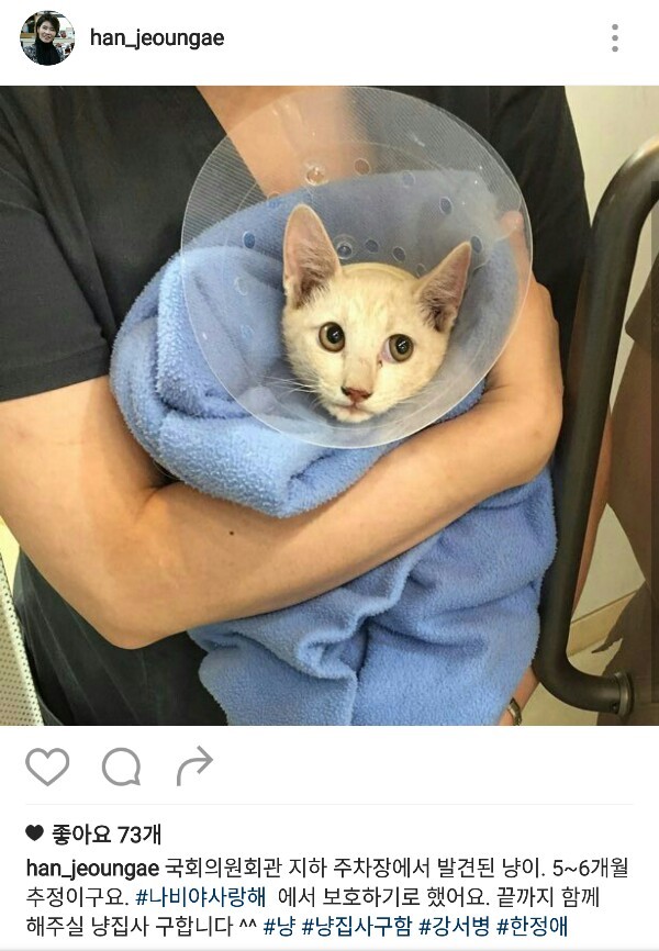 동물 사랑이 느껴지는 더민주 한정애의원님의 캣스타그램 | 인스티즈