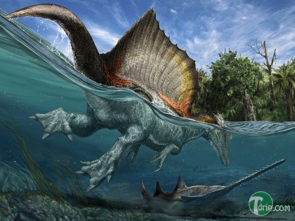 충격적인 스피노사우루스 복원도 | 인스티즈