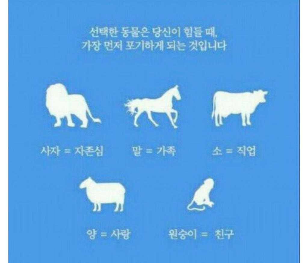 미국에서 퍼지고 있는 정확한 심리테스트 | 인스티즈