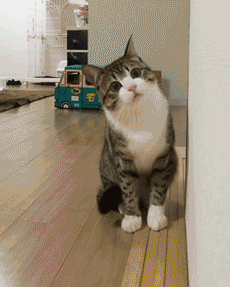 심쿵했네요 어휴...gif | 인스티즈