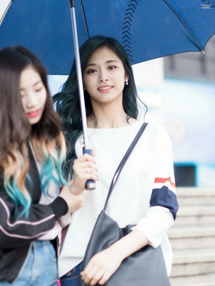 [트와이스] 급식단 출퇴근길 모음 | 인스티즈