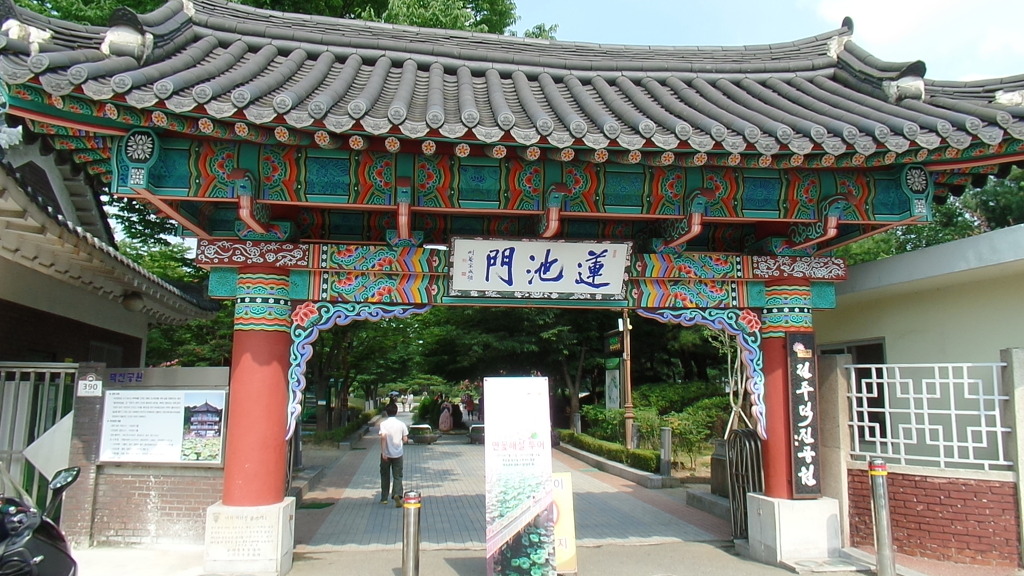 데이트 코스로 유명한 전주 덕진공원 예쁜 연꽃 풍경 | 인스티즈