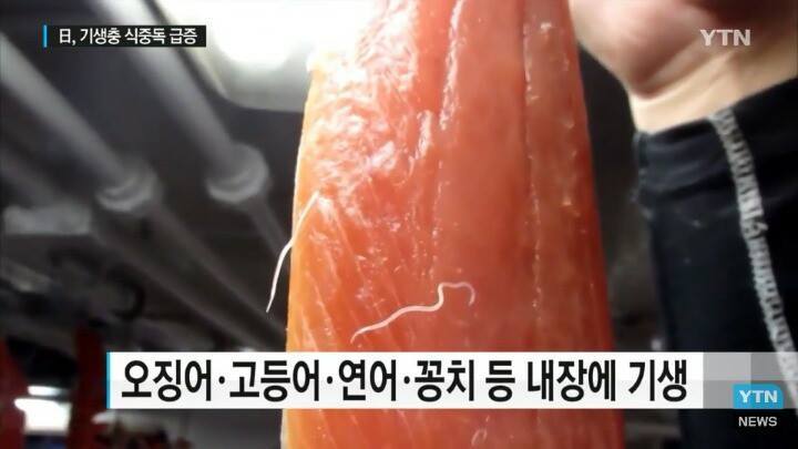 일본 여행 시 주의사항 | 인스티즈