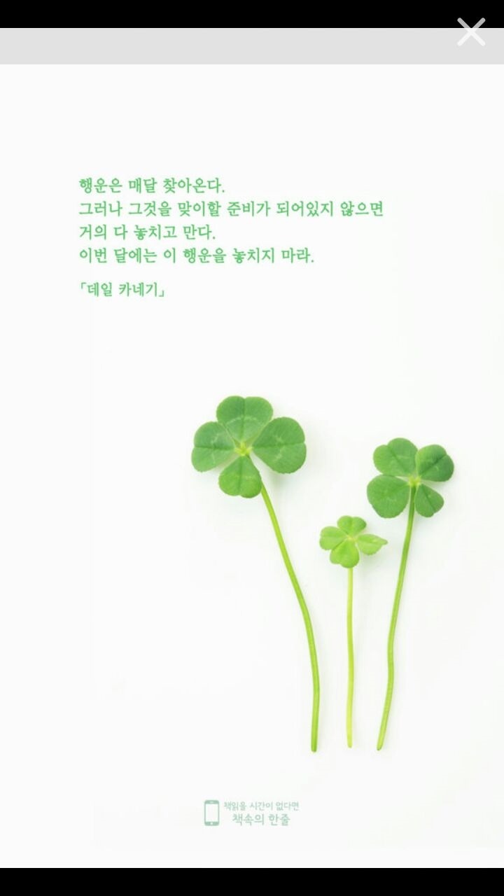행운 이미지