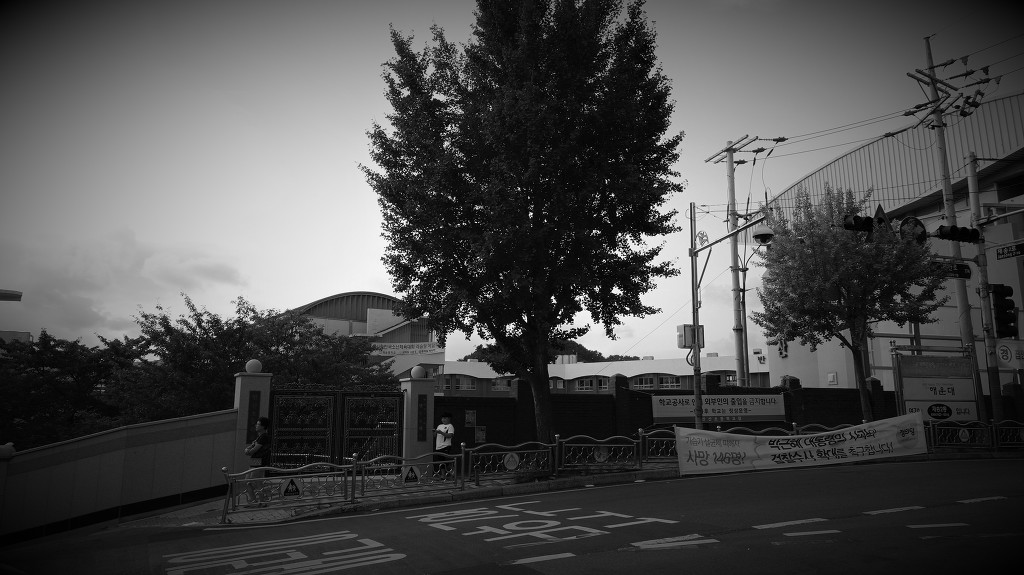 금호밀면 이미지